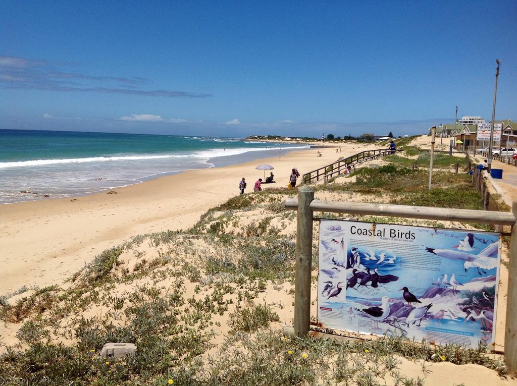 Amor Da Vida Port Elizabeth Esterno foto